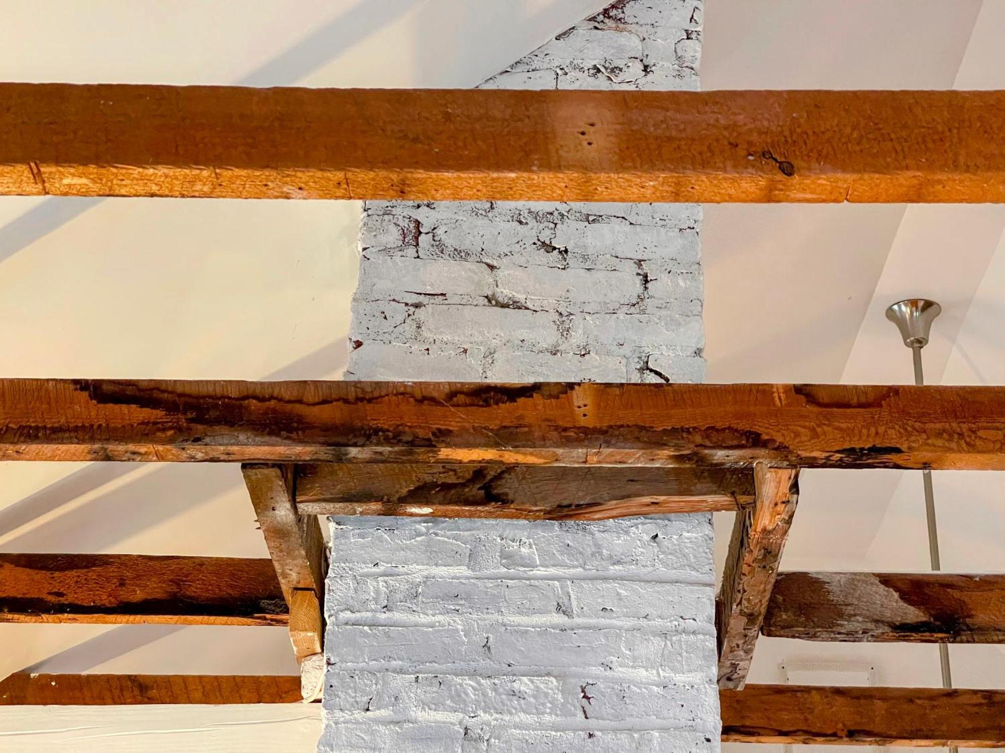 An Authentic, Rustic Luxurious Little Single Family Home In Old Town. All Yours. Marblehead Extérieur photo
